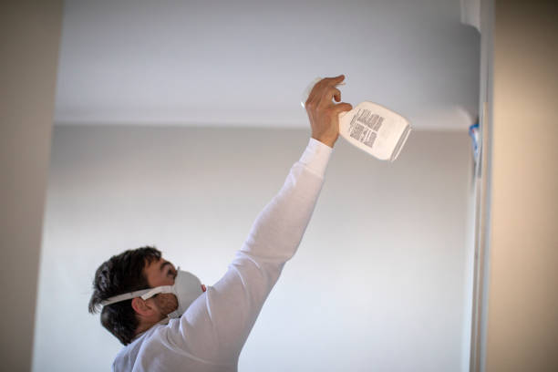 Best Commercial Mold Removal  in Sheridan, AR