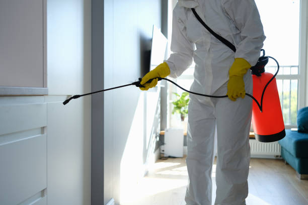 Best Professional Mold Removal  in Sheridan, AR