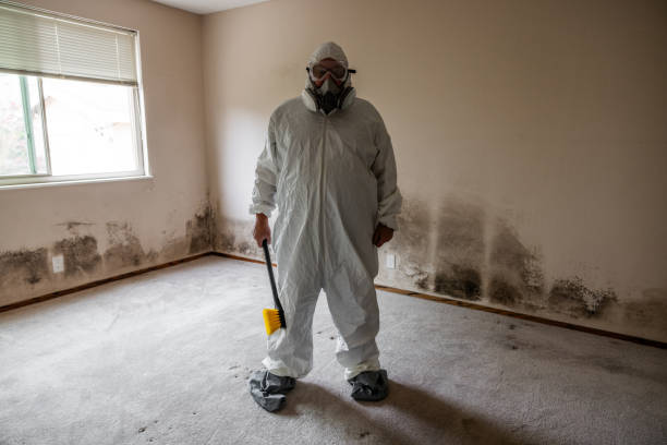 Best Emergency Mold Removal  in Sheridan, AR